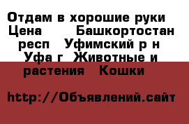 Отдам в хорошие руки › Цена ­ 1 - Башкортостан респ., Уфимский р-н, Уфа г. Животные и растения » Кошки   